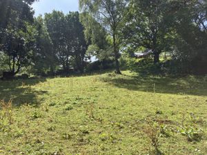 Photo 1- click for photo gallery